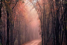 柏林赫塔客场不敌对手，遭遇挑战难关