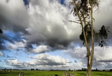 柏林赫塔客场不敌对手，遭遇挑战难关
