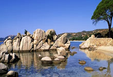 法国大胜晋级，荷兰无缘抢分！足球世界杯的激情瞬间